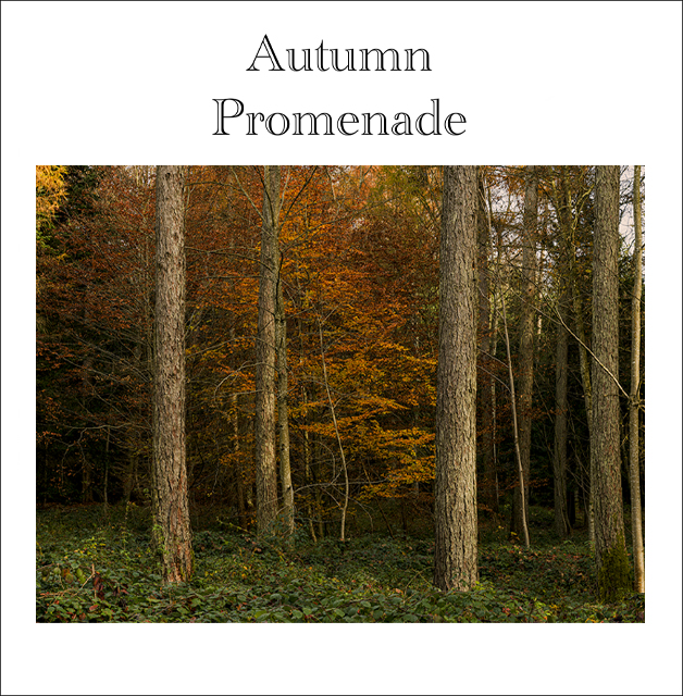 AutumnPromenade
